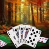 Solitaire - Patience Fall icon