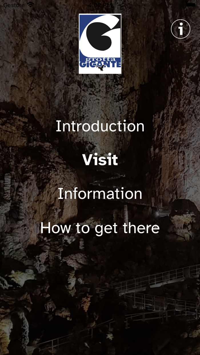 Grotta Gigante