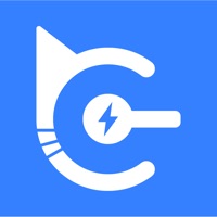 FlashCat Speed Erfahrungen und Bewertung