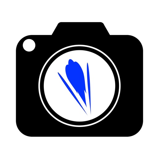 VidJump - AppWisp.com
