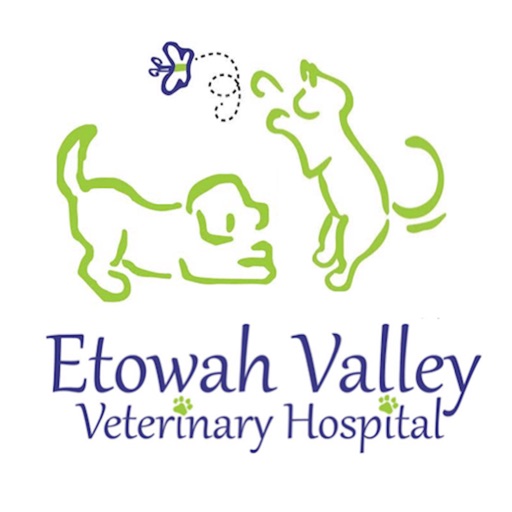 Etowah Valley Vet