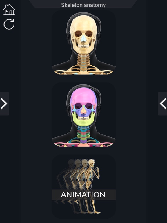 Screenshot #6 pour My Skeleton Anatomy