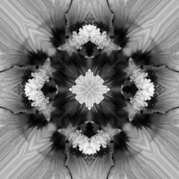Fou Flowers