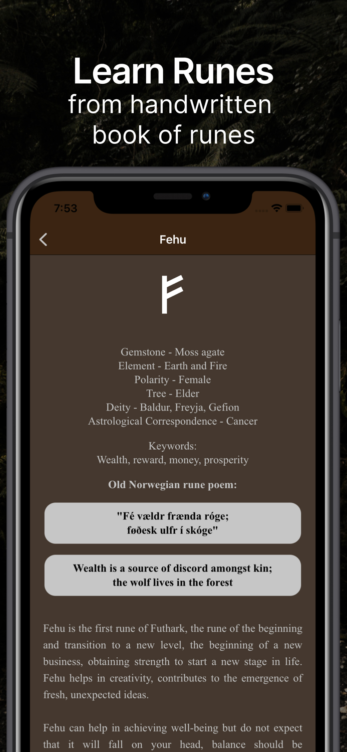 Runic Formulas and Book of Runes