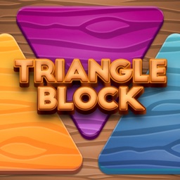 Triangle Block