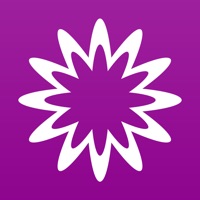 MathStudio logo