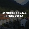 Milesevska eparhija icon