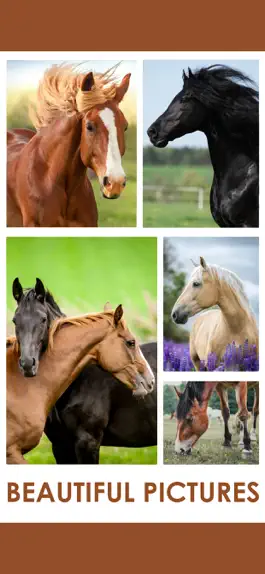 Game screenshot Horse Jigsaw Puzzle Games apk