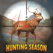 真正 鹿 狩猎季节 游戏