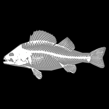3D Fish Anatomy Читы