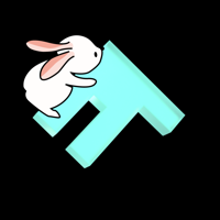 CLUE  Climbing Camera and Diary