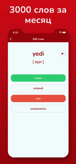 Game screenshot Турецкий язык apk