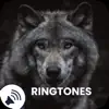 Wolf Sounds Ringtones App Delete