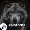 Similar Wolf Sounds Ringtones Apps