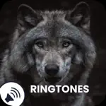 Wolf Sounds Ringtones App Cancel