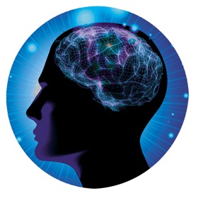 脑域测试-神经认知心理风险筛查