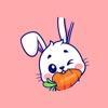 Rabbit X icon