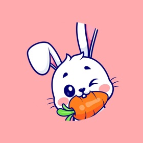 螢幕擷取畫面 (3) Rabbit X