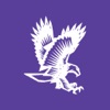 DCS Eagles icon
