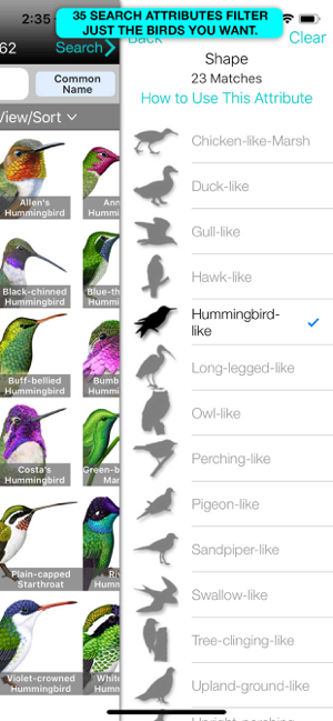 Captura de pantalla d'iBird Ultimate Guide to Birds