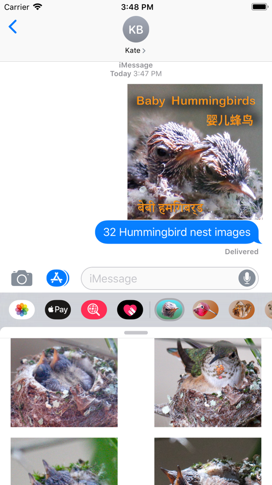 Baby Hummingbirds - 2.0 - (iOS)