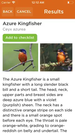 Game screenshot Aussie Bird Count hack
