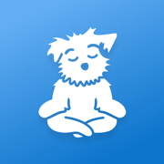 Meditación | Down Dog