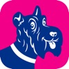 Scotties by the Sea 2023 icon