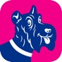 Scotties by the Sea 2023 app download