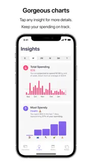 nudget: spending tracker iphone screenshot 3
