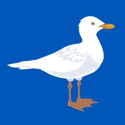 The Gulls - Live Scores & News Читы