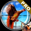 Pheasant Bird Hunting Pro icon