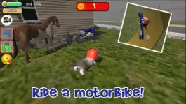 Game screenshot KittyZ: Cat Simulator, ride mod apk