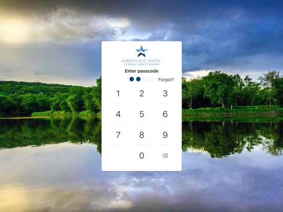 LNFCUmobile iPad screenshot 3 - Finance app