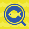 B.Creation Inc. - マイAI-AIが魚を判定する新しい魚図鑑 アートワーク