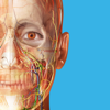 Visible Body - Human Anatomy Atlas 2024 artwork