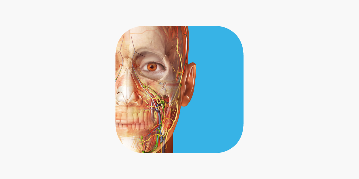 Atlante di anatomia umana 2024 su App Store