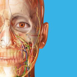 Ícone do app Human Anatomy Atlas 2024