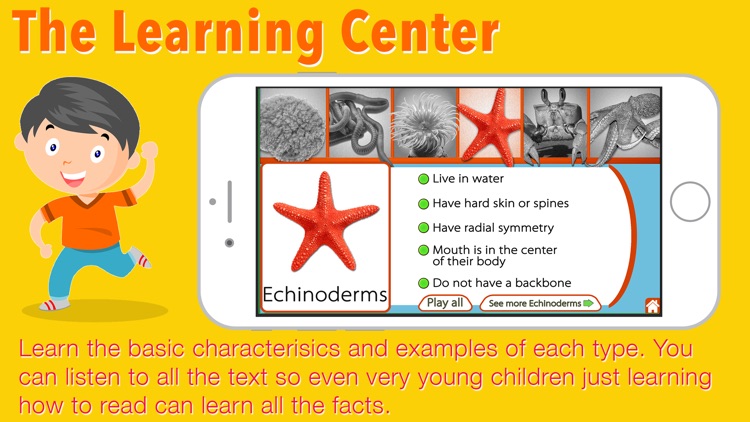 Animal Kingdom (Invertebrates)