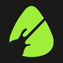 Acordeur de Guitare - Tune Up