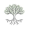 Chi Tree Health icon