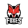 HCB Foxes icon