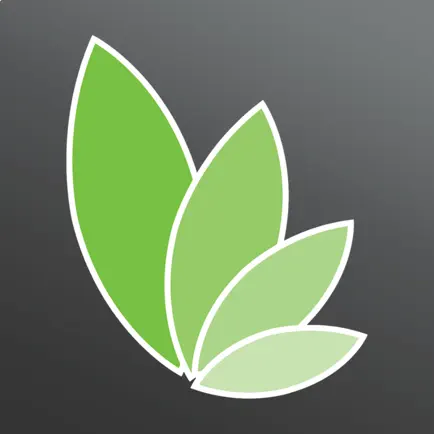 Wellness by LetsLose Cheats