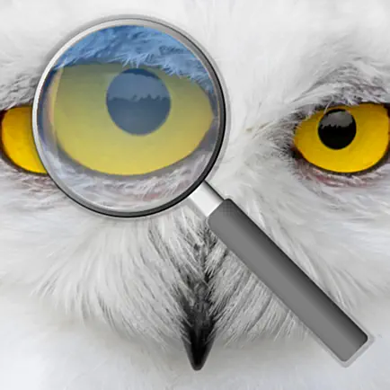 Photo Loupe Cheats