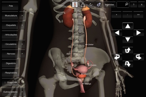 Introdução Anatomia Humana 3Dのおすすめ画像1