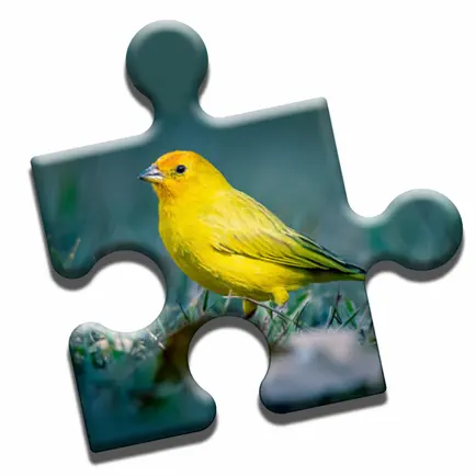 Bird Watching Puzzle Cheats