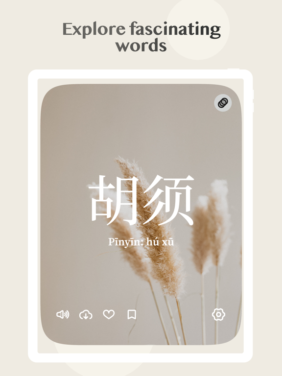 Hanz: Chinese Vocabulary
