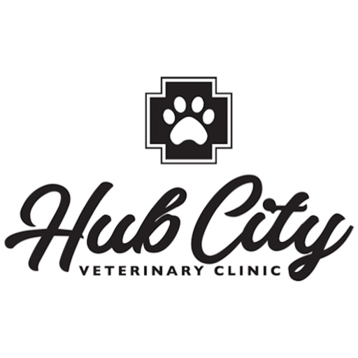 Hub City Vet - AppWisp.com