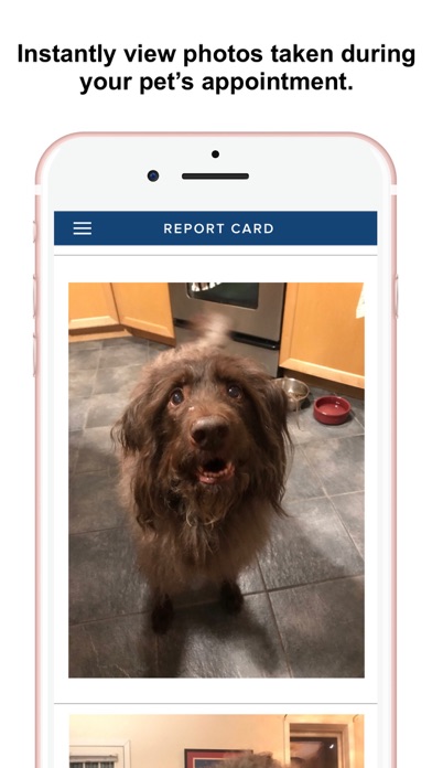 Petz Dog Walking Screenshot