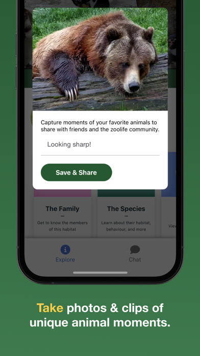 zoolife - Watch Animals Live Screenshot